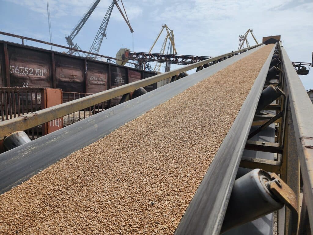Agricultural conveyor handling bulk produce