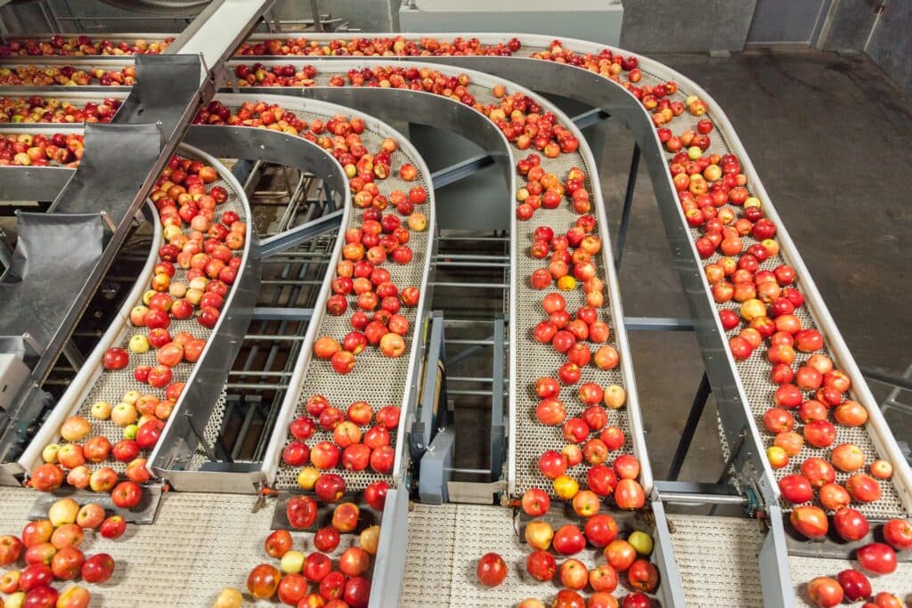 Agricultural conveyor system installed in a produce handling facility