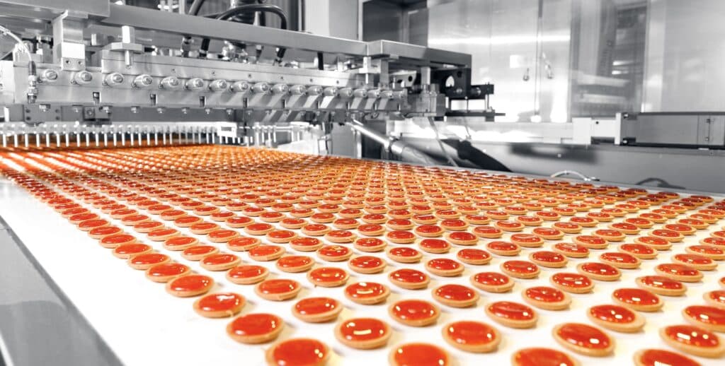 Stainless steel food grade conveyors on a production line